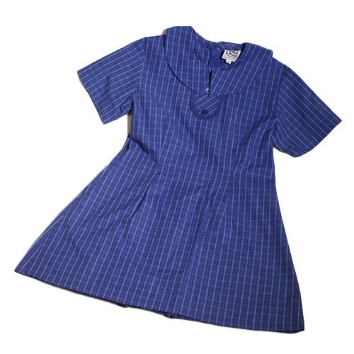 Blue check summer school dress sales